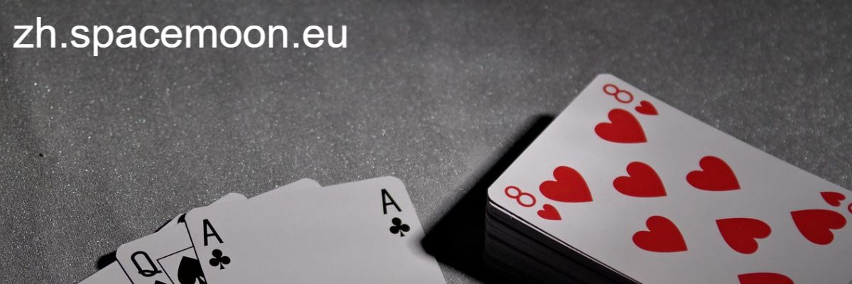 zh.spacemoon.eu